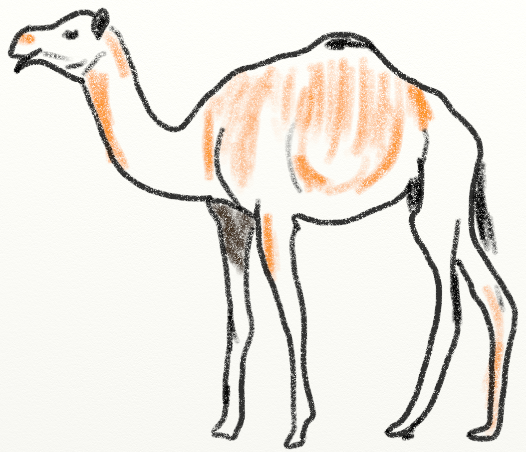 fig.camel